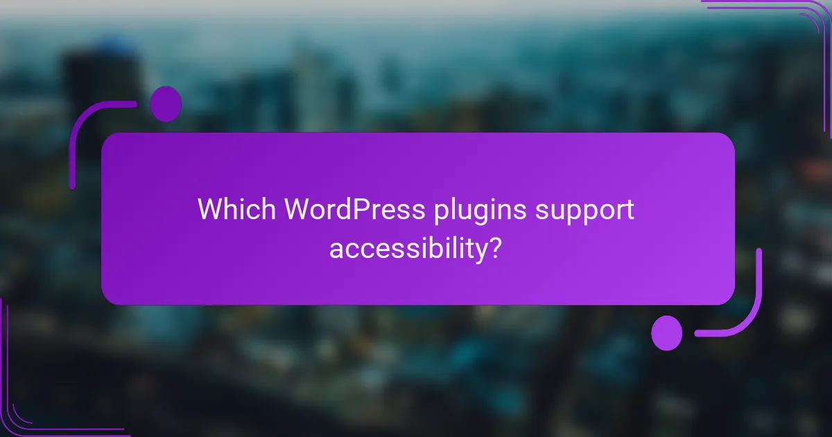 Which WordPress plugins support accessibility?